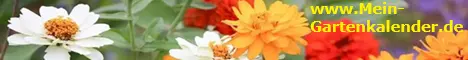 www.Mein-Gartenkalender.de - Alles für das Hobby Garten - Jetzt anschauen !!